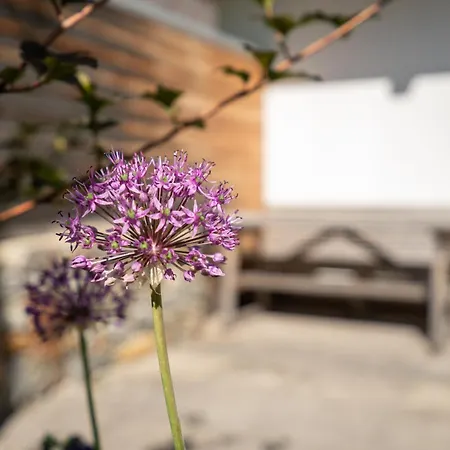 Ferienpension Senfter Innervillgraten