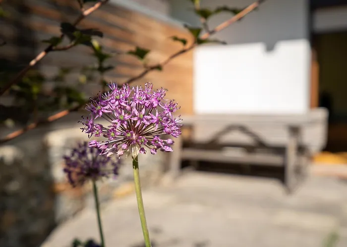 Ferienpension Senfter Innervillgraten