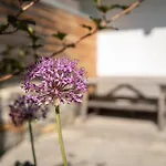 Ferienpension Senfter Innervillgraten